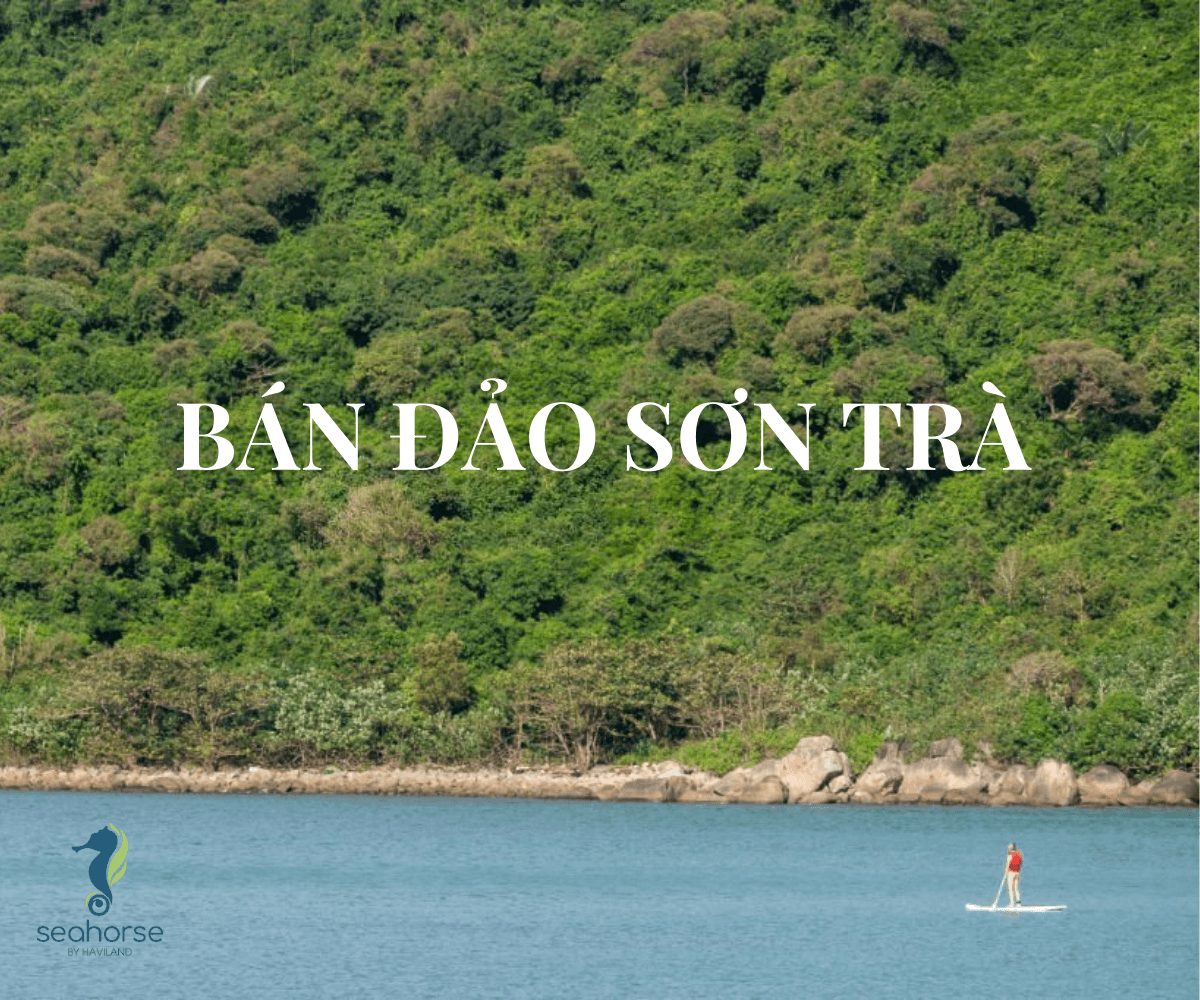 BÁN ĐẢO SƠN TRÀ