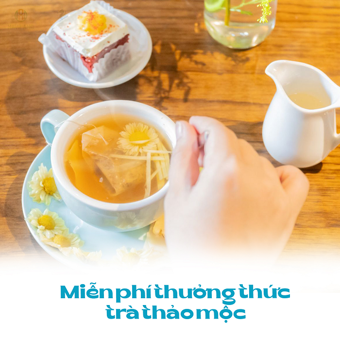 Seahorse Signature thân mời du khách công tác trà thảo mộc miễn phí, hỗ trợ du du khách sự căng thẳng và mệt sau ngày dài làm việc